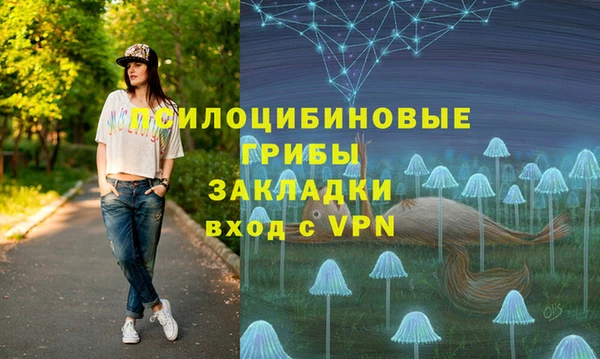 шишки Гусь-Хрустальный