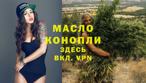 шишки Гусь-Хрустальный