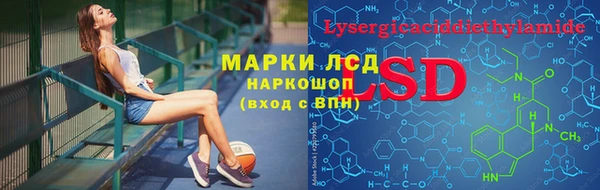 прущая мука Гусев