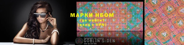 шишки Гусь-Хрустальный