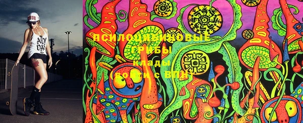 шишки Гусь-Хрустальный