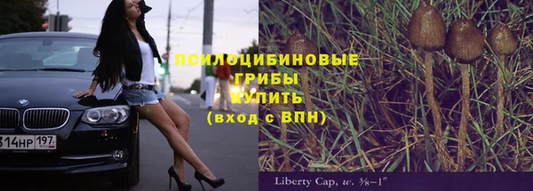 прущая мука Гусев