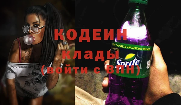шишки Гусь-Хрустальный